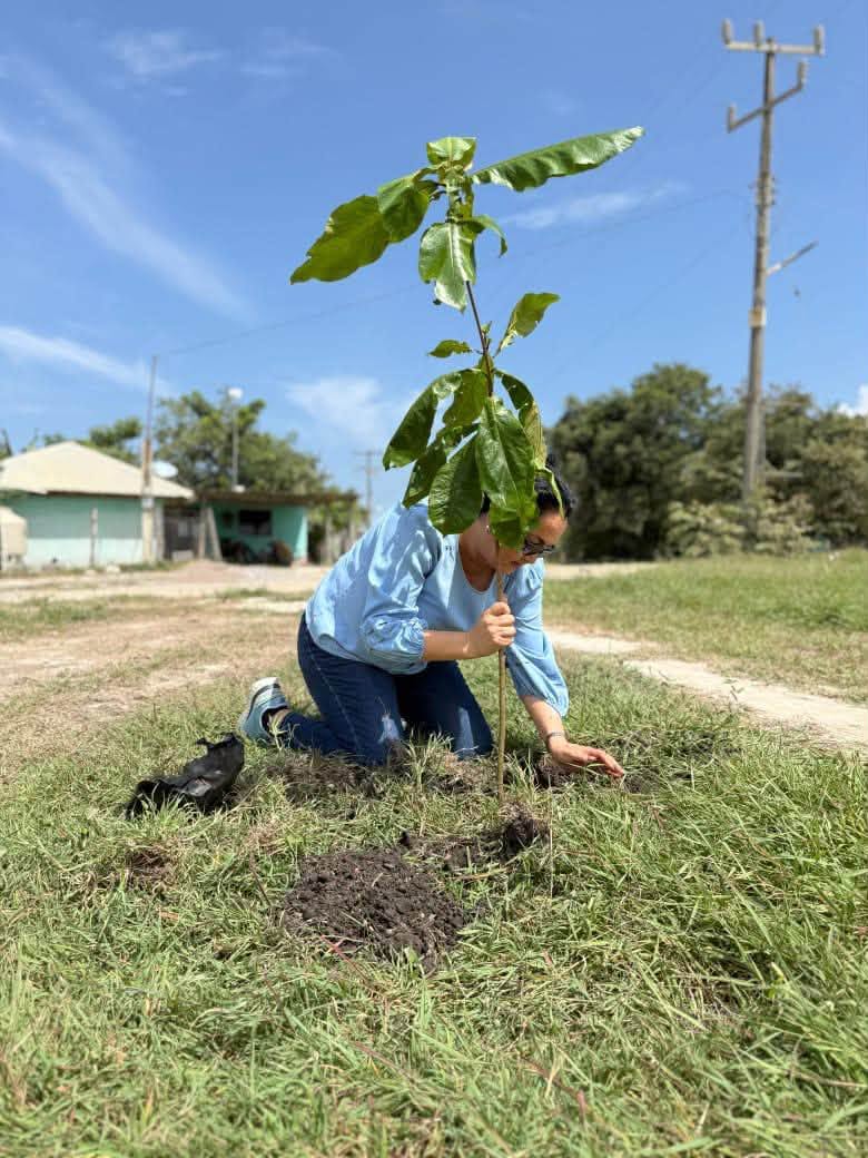 Encabeza Yaneth Nájera jornada de reforestación por un Nuevo Morelos más sustentable